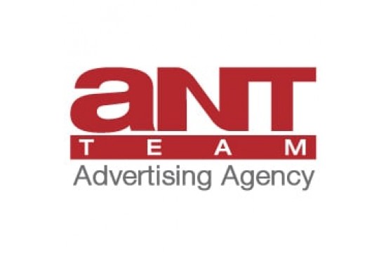Ant Team Advertising Agency