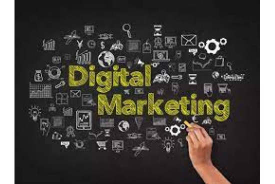 Best Digital Marketing Course Institute In Faridabad | SEO | SMO,  Best Tally Course Near Me